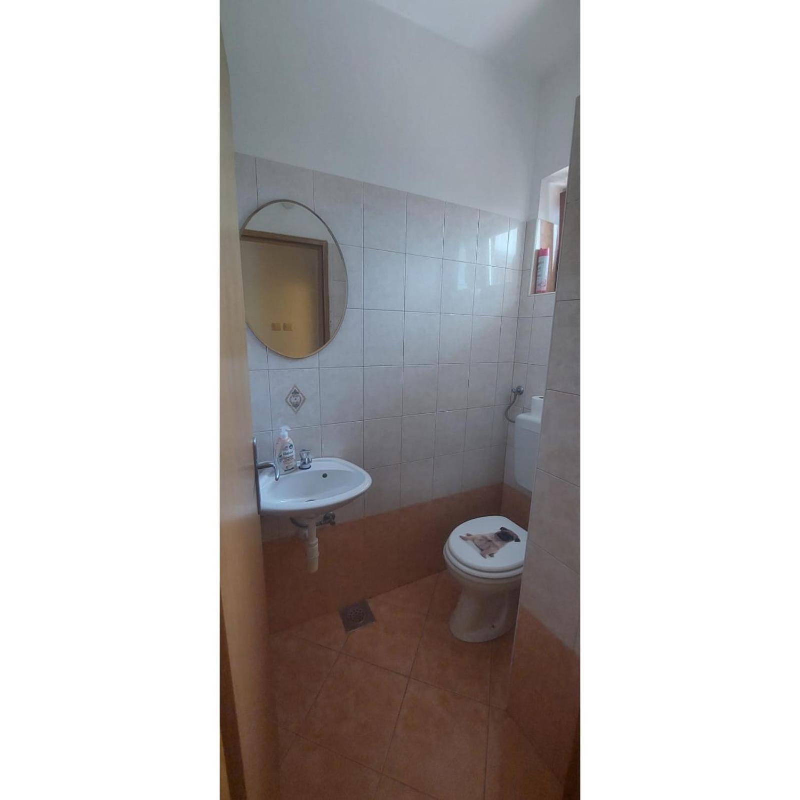 Appartamento Apartman Dino Roč Esterno foto